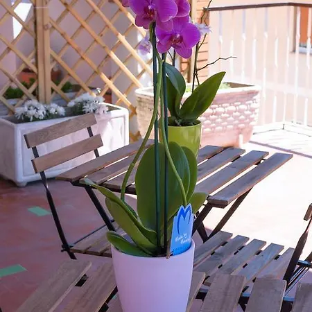 Couette-café Vatican Living Rome