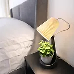 Vatican Living Отель типа 